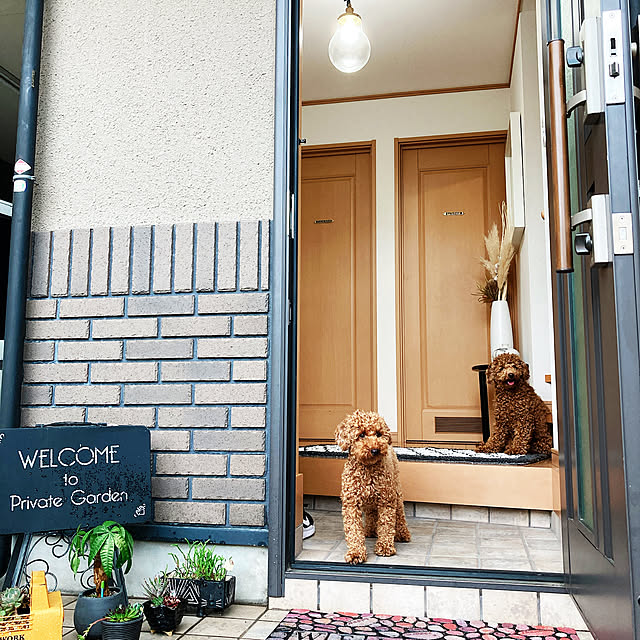 kazuさんの実例写真