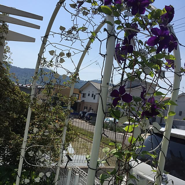 odekoさんの実例写真