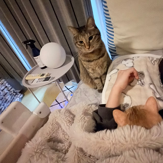 chiiさんのお部屋の写真