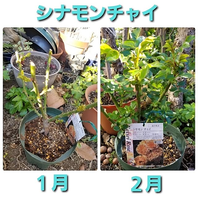 midoriさんの部屋
