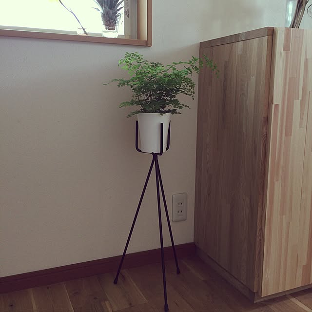 yunamiriさんの実例写真