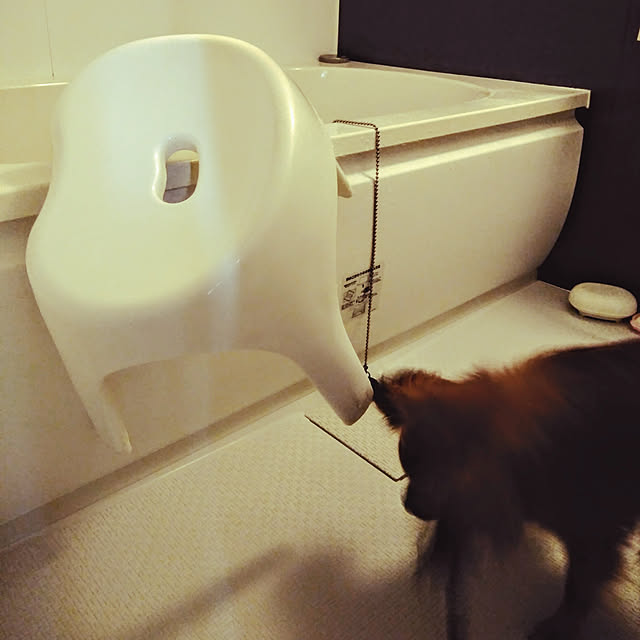 toratanさんの実例写真