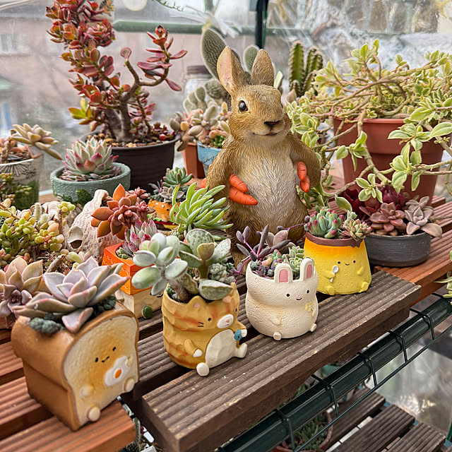 Aqettyさんの実例写真