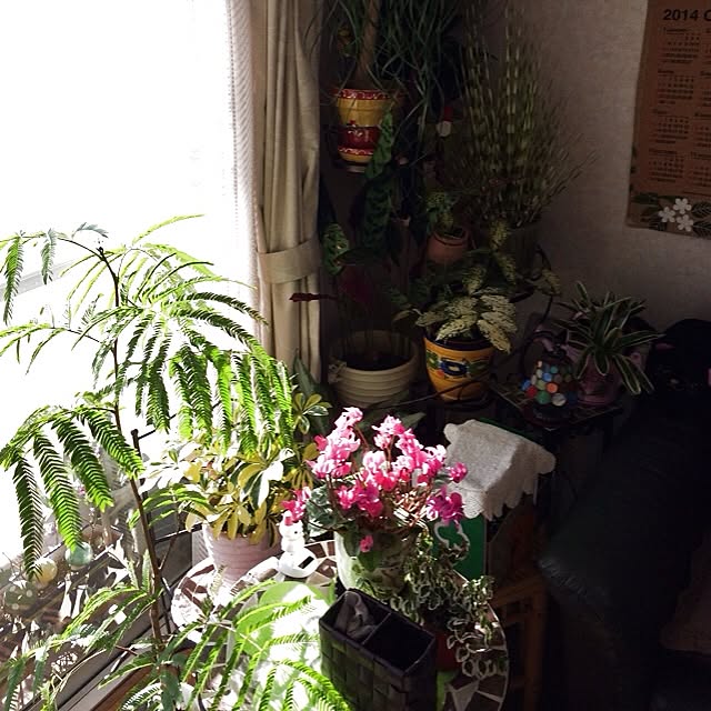 miさんの実例写真