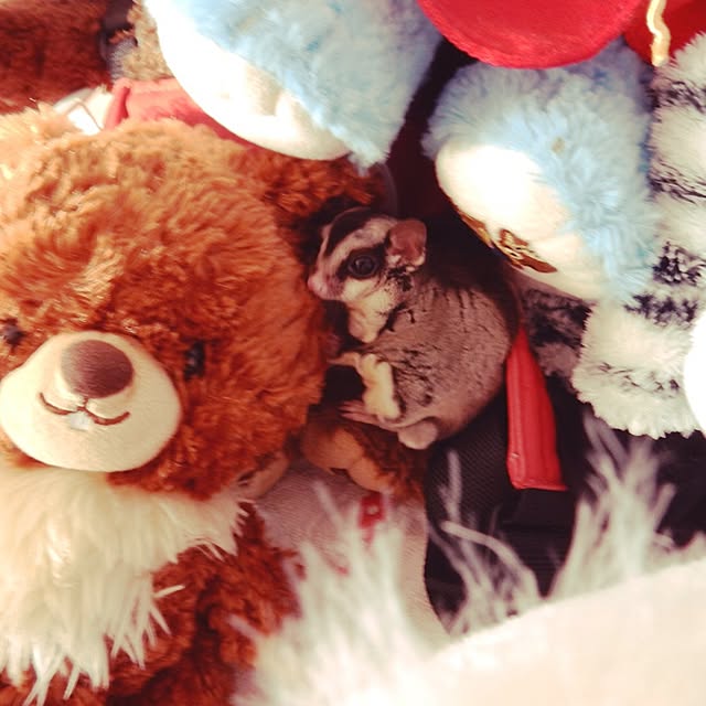 belle-kaoriさんの実例写真