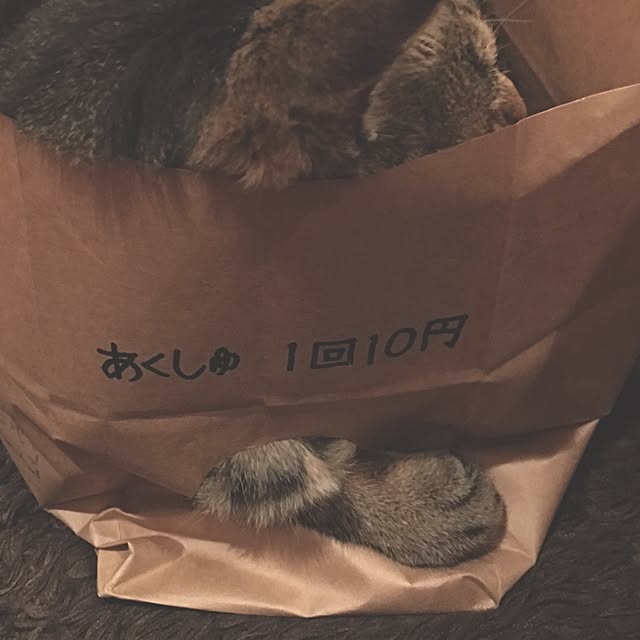 NAOMIさんの実例写真