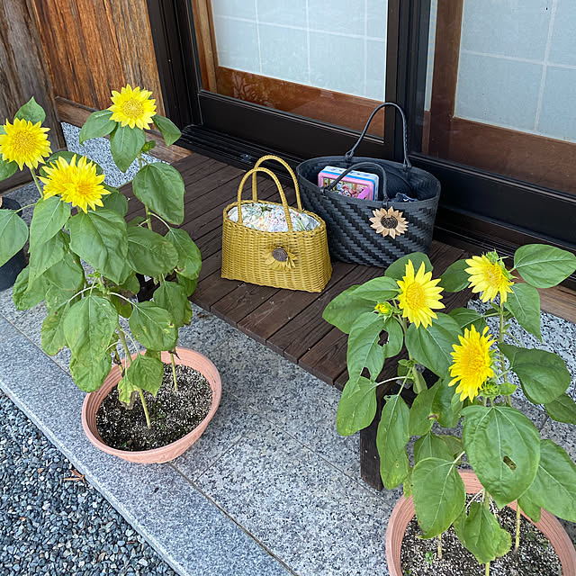 moriさんの実例写真