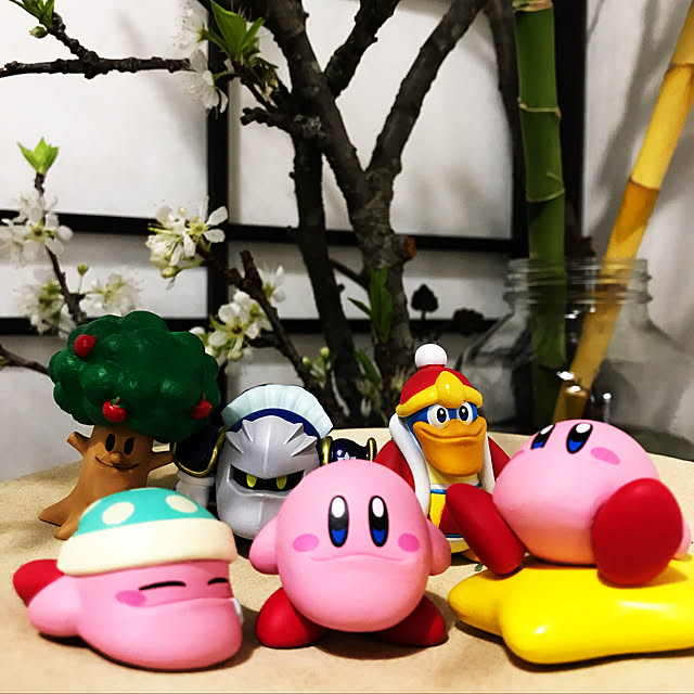 aninさんの実例写真