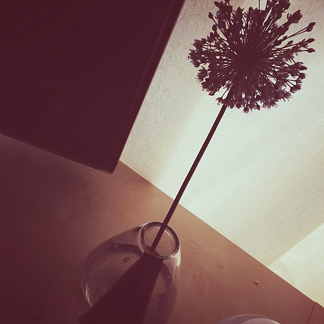 maroさんの実例写真