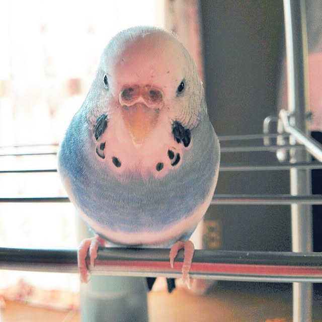 green.さんの実例写真