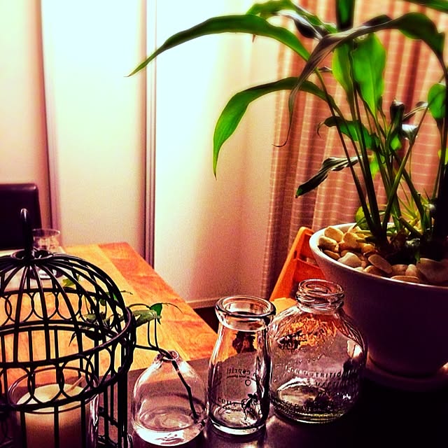 Megu5319さんの実例写真