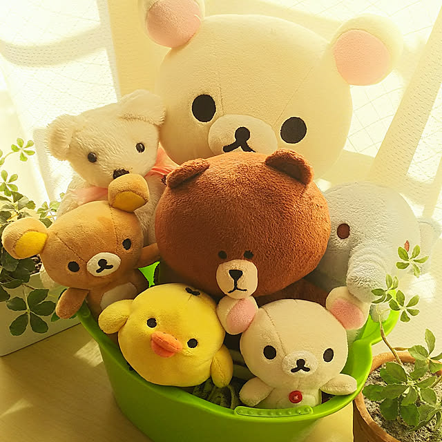 yo-koさんの実例写真