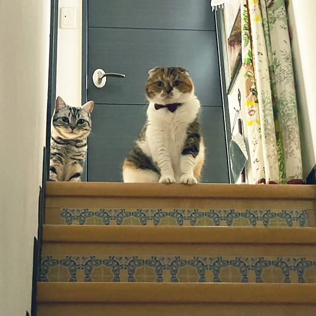 hiro3さんの実例写真