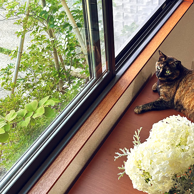 cocoさんの実例写真