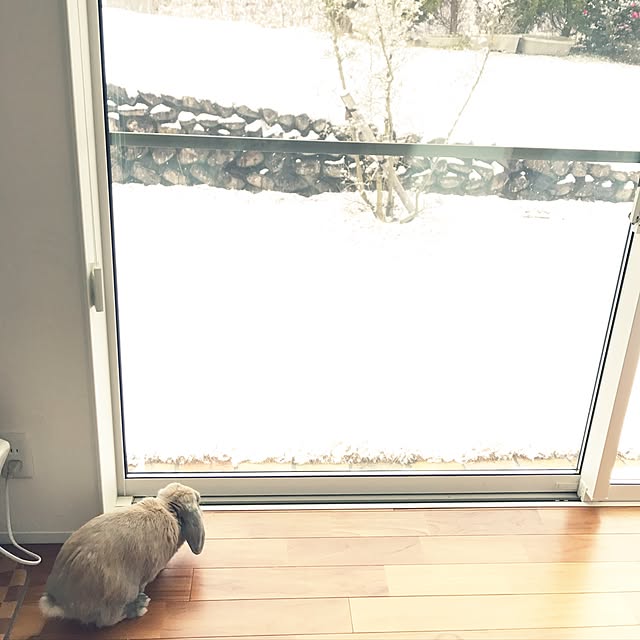 sayapiさんの実例写真