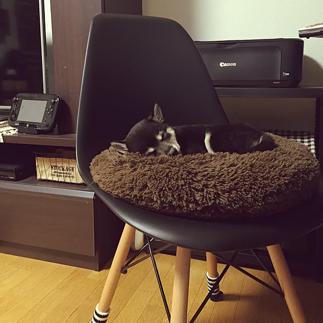 ankoさんの実例写真