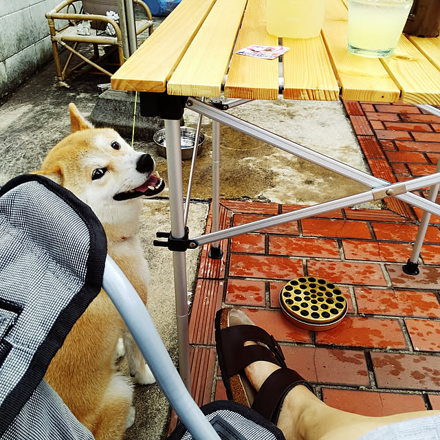 fruityanさんの実例写真