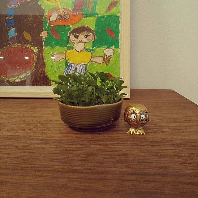 aiさんの実例写真