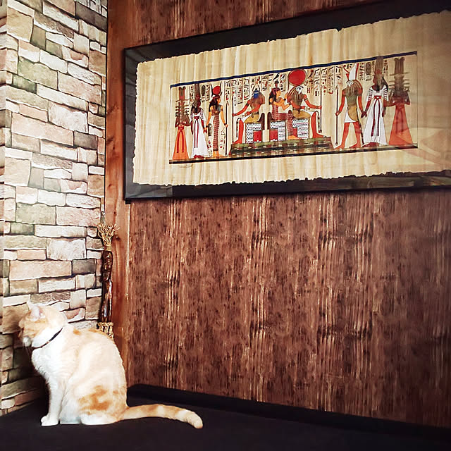 kobakissaさんの実例写真