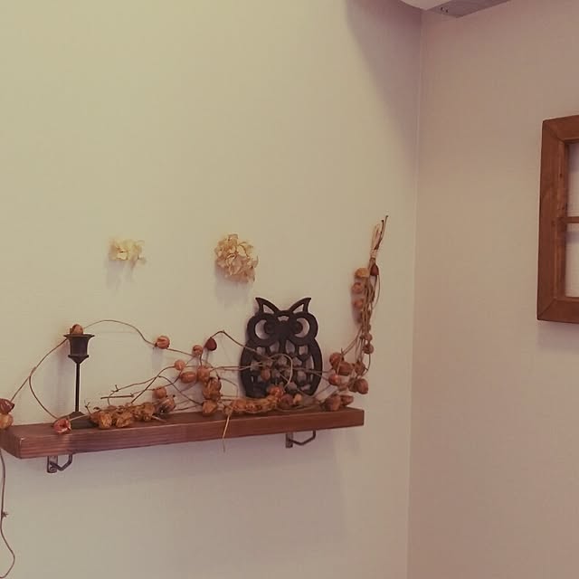 biscuits-rmkさんの実例写真