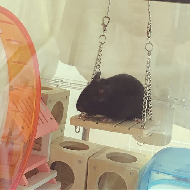 FUさんの実例写真