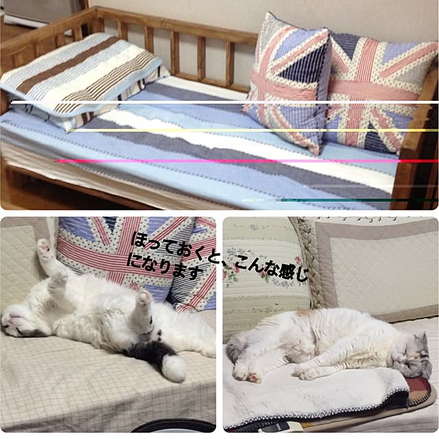 norimokuさんの実例写真