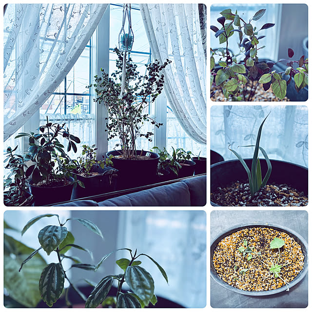 usagiさんの部屋