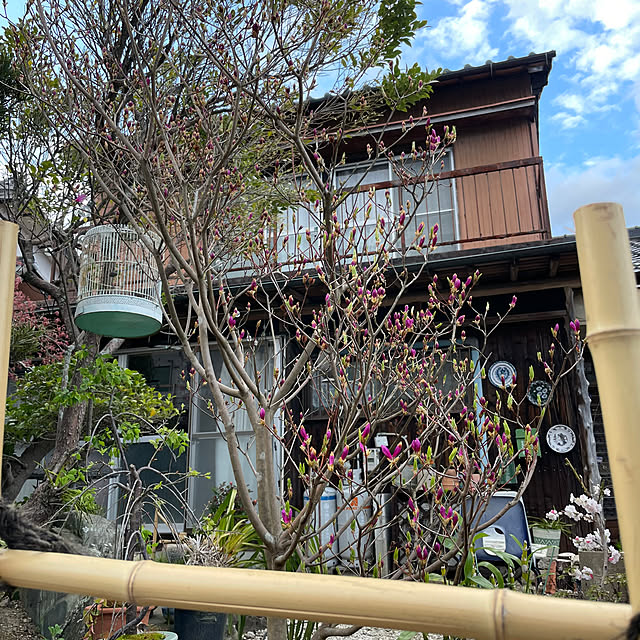 shin0719さんの部屋