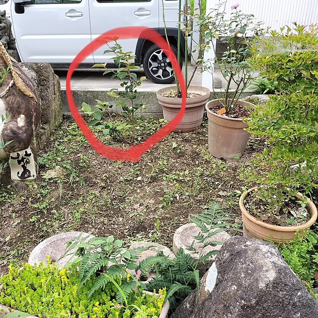sumimarumiさんの部屋