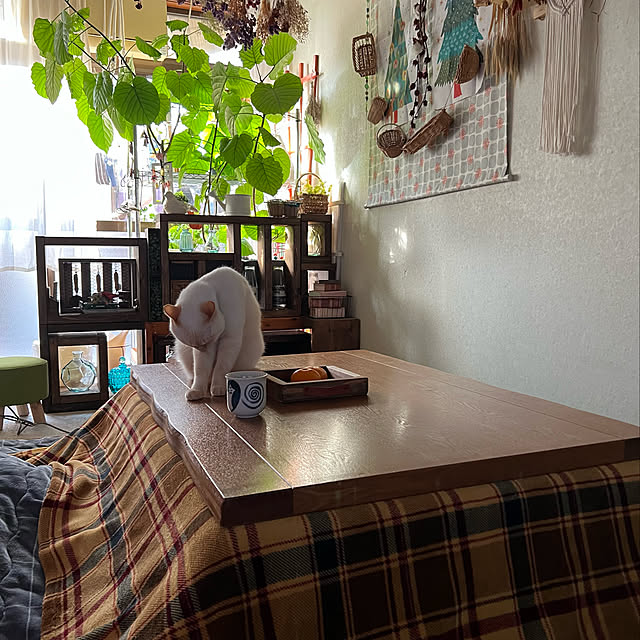 mohhaさんの実例写真