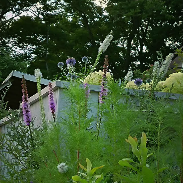 yukiさんの実例写真