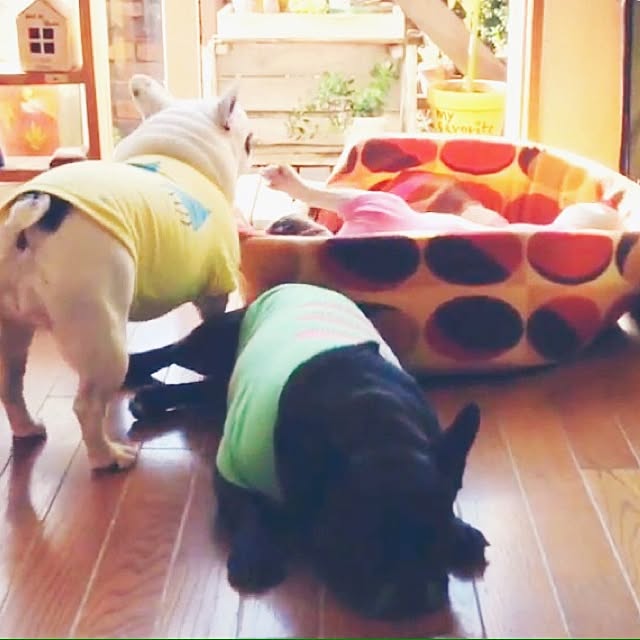 38coreさんの実例写真