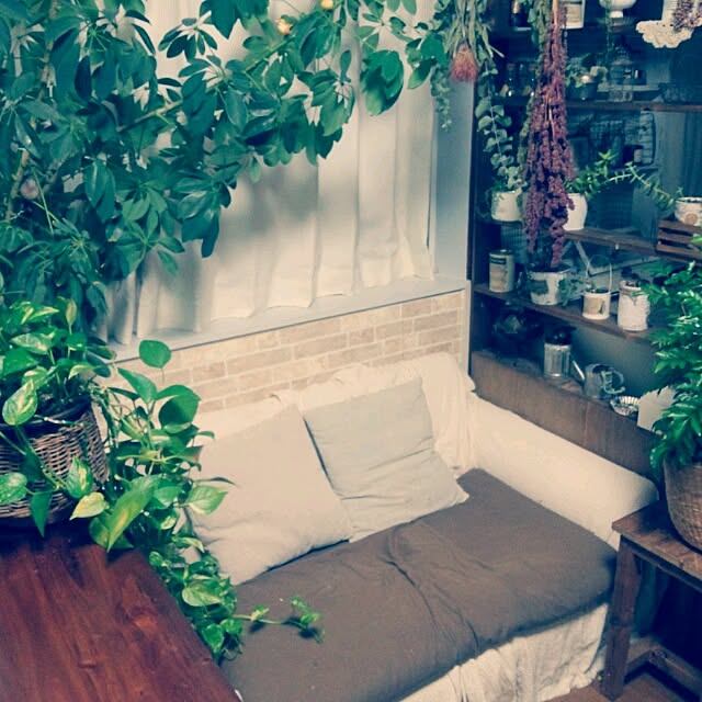 mucc08さんの実例写真