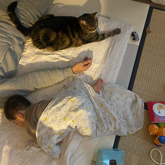 mikomaruさんの実例写真