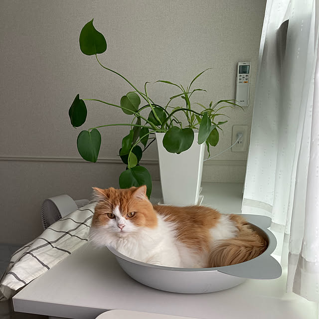 H.Tさんの実例写真