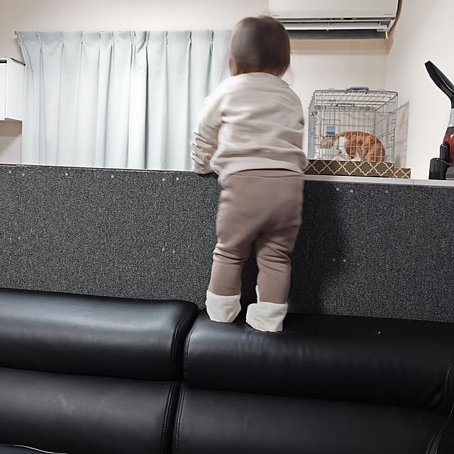 noguriさんの部屋