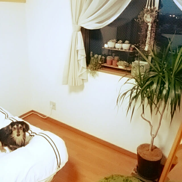 reonさんの実例写真