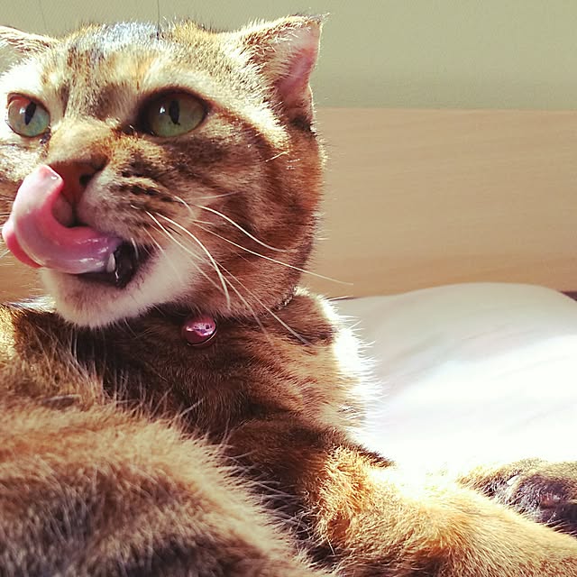 Y.Gさんの実例写真