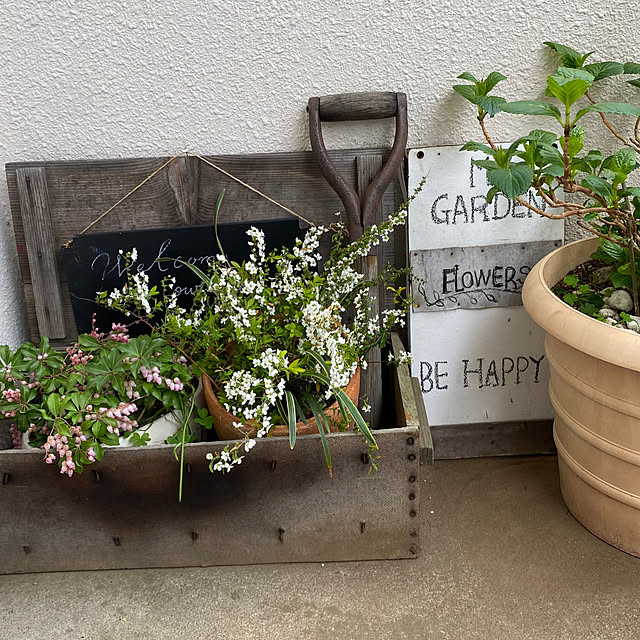 mamiさんの実例写真