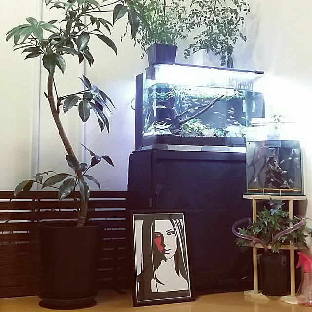 KEISUKEさんの実例写真