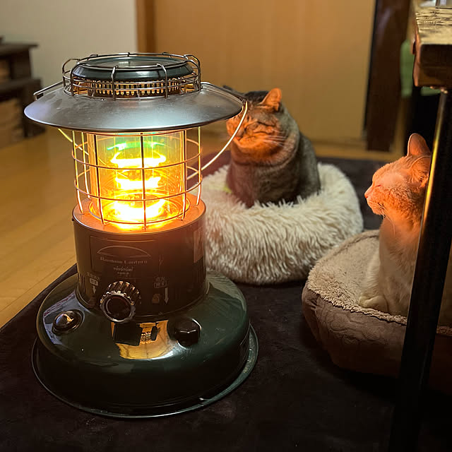 mikan161さんの実例写真