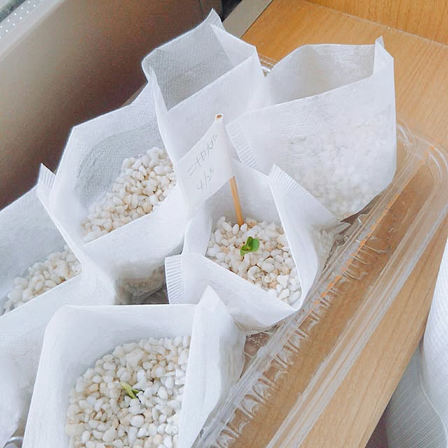 merinさんの実例写真