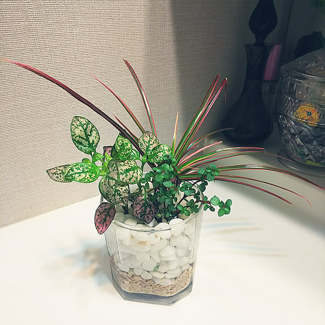 hiromimiさんの実例写真