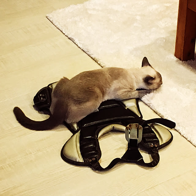 niko-25さんの実例写真