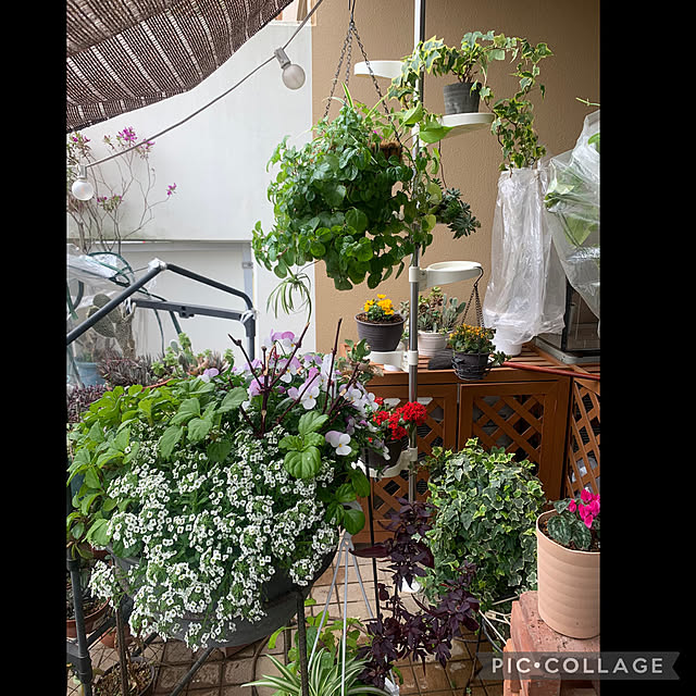 Aqettyさんの部屋