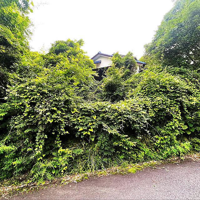 kabu10さんの部屋