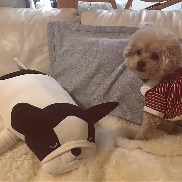 chocomamaさんの実例写真