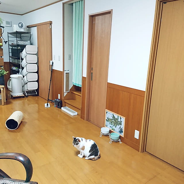 nachiさんの実例写真