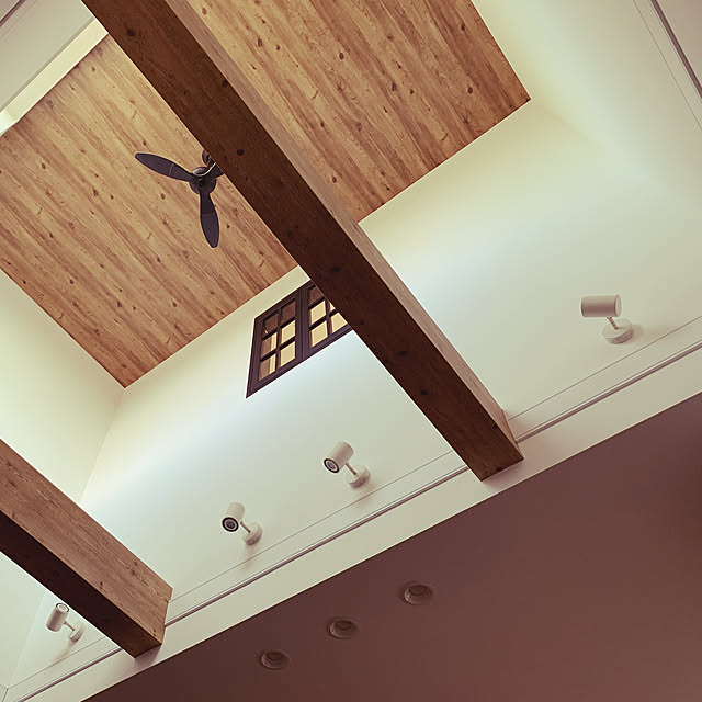 壁/天井のインテリア実例 - 2019-05-05 07:58:51