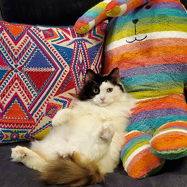 booさんの実例写真